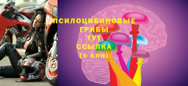 шишки Абдулино