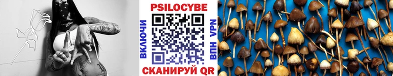 цена наркотик  Электросталь  Галлюциногенные грибы MAGIC MUSHROOMS 