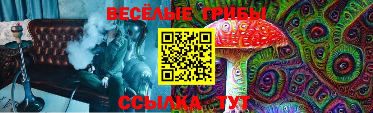 где найти наркотики  Галлюциногенные грибы MAGIC MUSHROOMS  Вход с VPN  Электросталь 